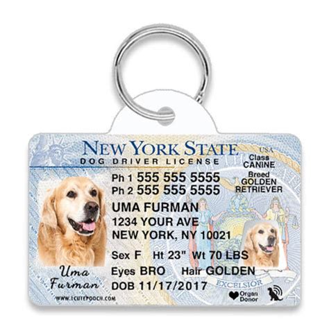 rfid tag for dogs|drivers license dog tags.